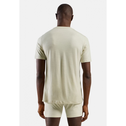 T-shirt Merino 160 Agate Gray