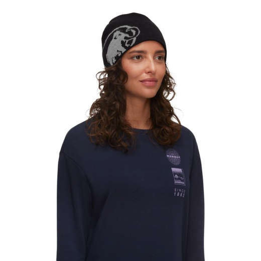 Bonnet Tweak Beanie Black Steel