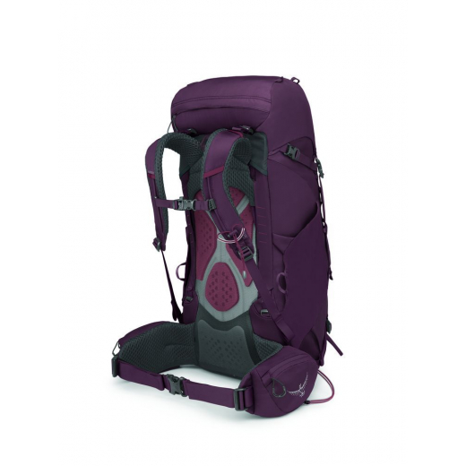 Kyte 38 Femme Elderberry Purple