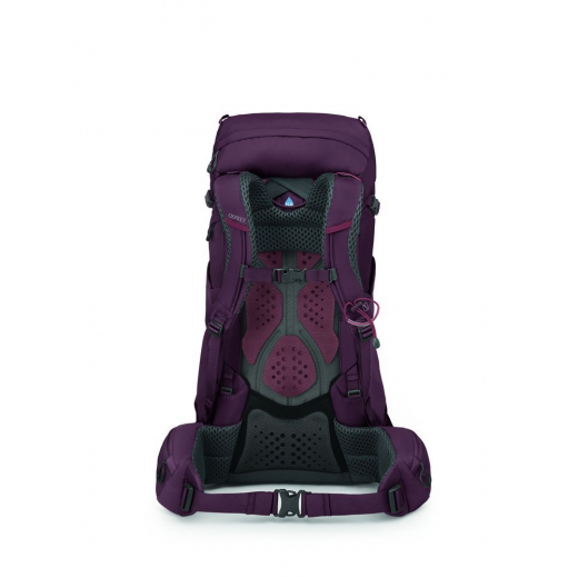 Kyte 38 Femme Elderberry Purple