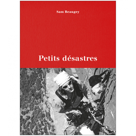 Petits Desastres - Romans | Guerin Editions Paulsen