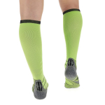 Chaussettes Evorace Green Lime / Black