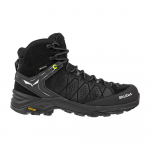 Alps Trainer 2 Mid Gtx Noir