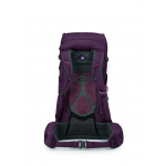 Kyte 38 Femme Elderberry Purple