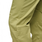 Pantalon Notion Cedar Wood Green