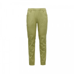 Pantalon Notion Cedar Wood Green