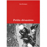 Petits Desastres - Romans | Guerin Editions Paulsen