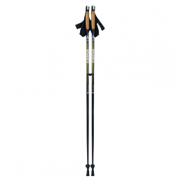 Batons Nordic Walk (paire)